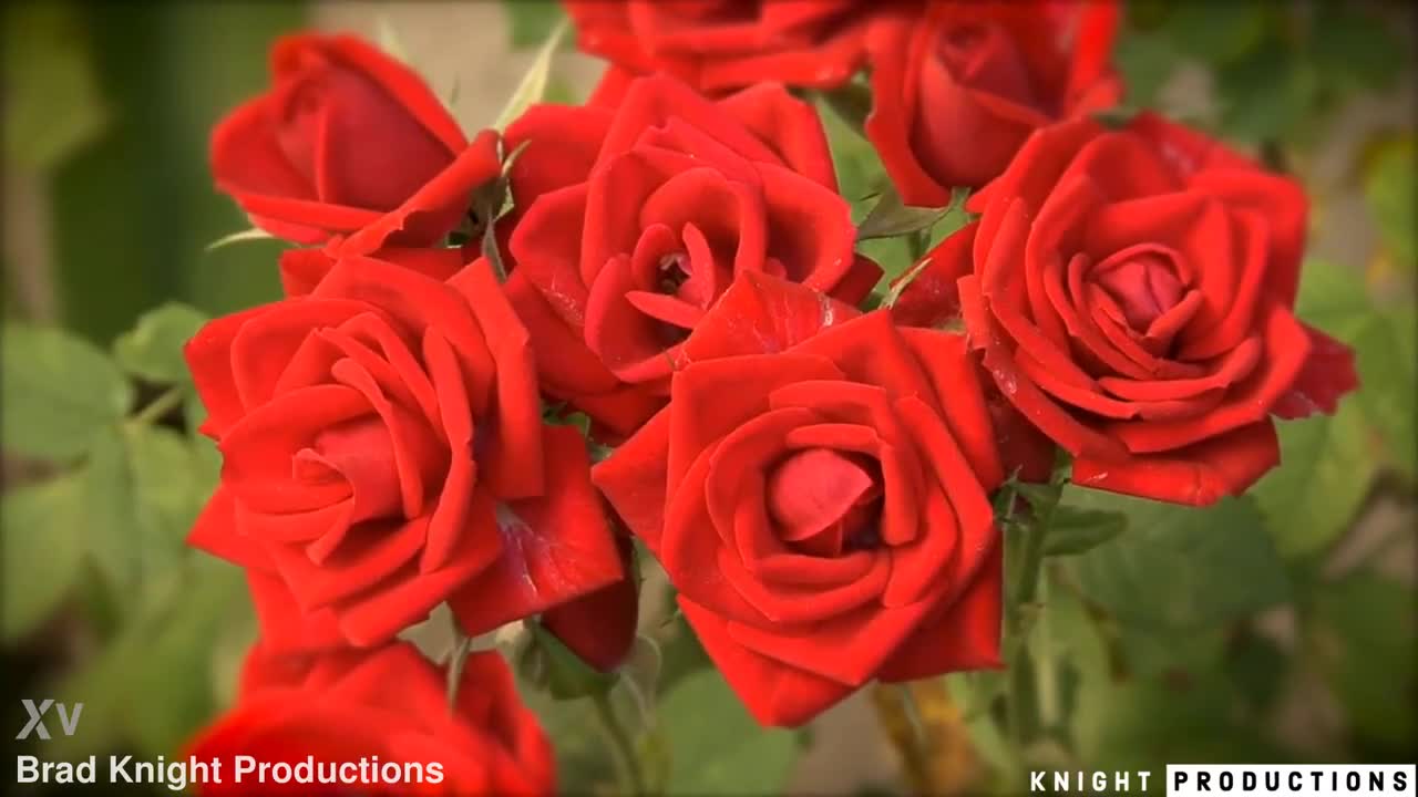 Watch Romi rain Porn Video - ePornSup.