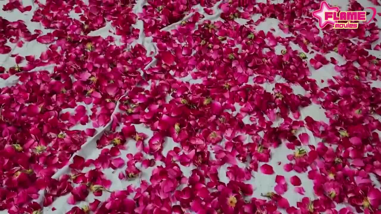Watch Doctor Uncut (2024) Hindi Hot Short Film Porn Video - ePornSup.