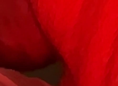 Watch This is how to pledger a 10 inch cock Porn Video - ePornSup.
