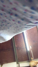 Watch my panty