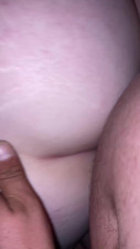 Doggy cream pie
