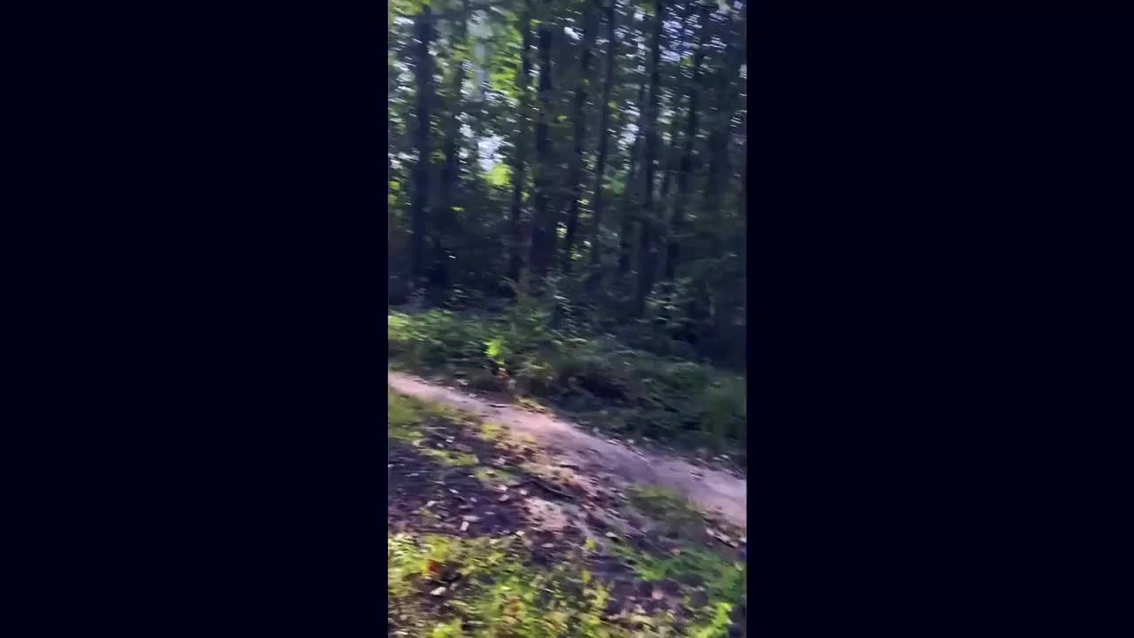 Watch Quick fuck in the park Porn Video - ePornSup.