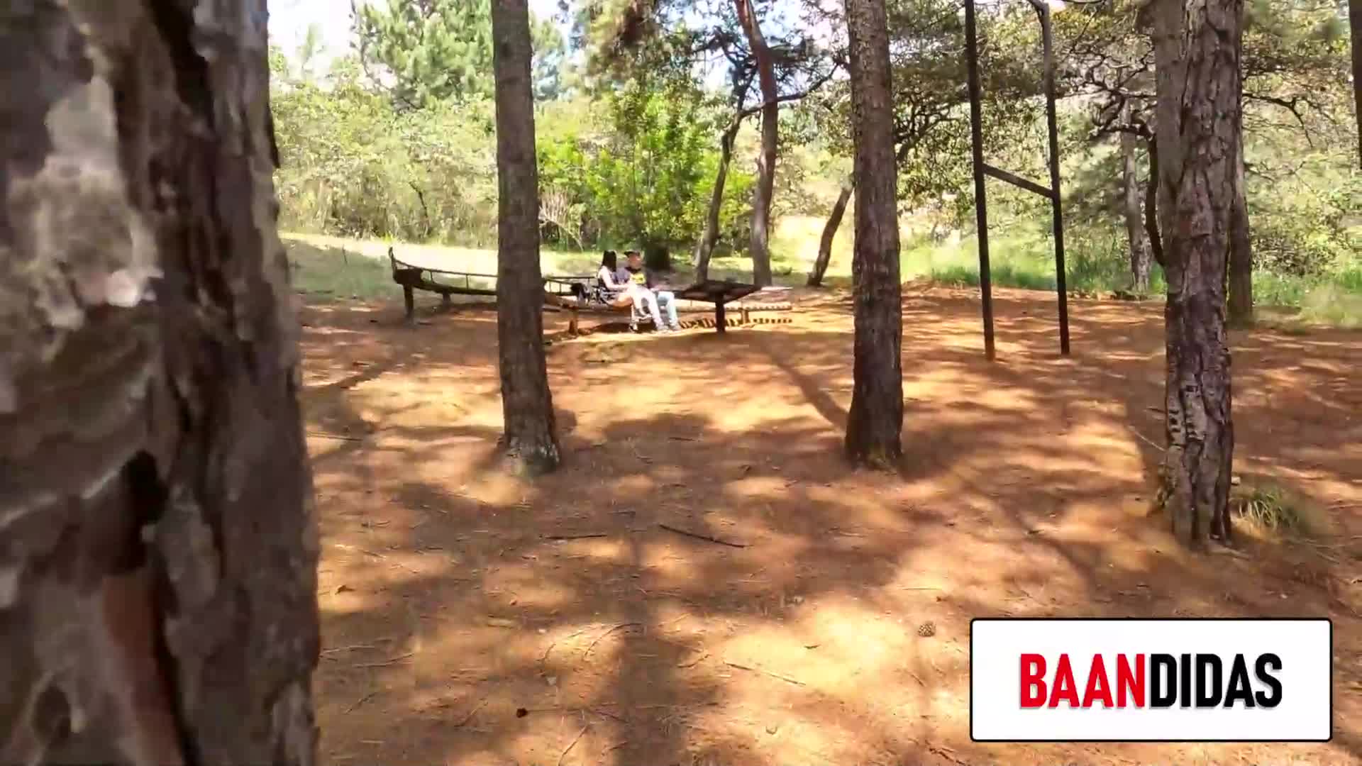 Watch Joven colombiana chupa verga en un bosque Porn Video - ePornSup.