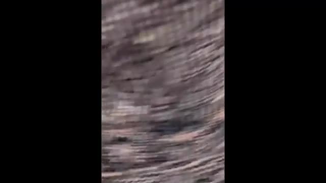 Watch Viviane lomelin Porn Video - ePornSup.