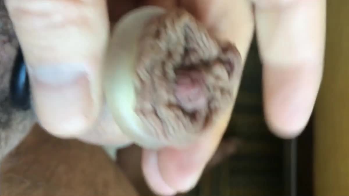Watch Hairy Daddy's Big Uncut Cock Cums Hard Porn Video - ePornSup.