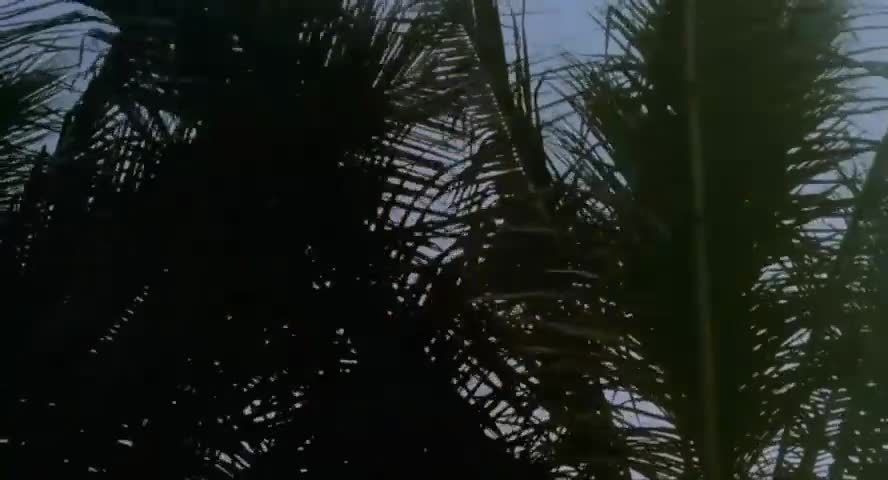 Watch Tropic of Desire (1979) Porn Video - ePornSup.