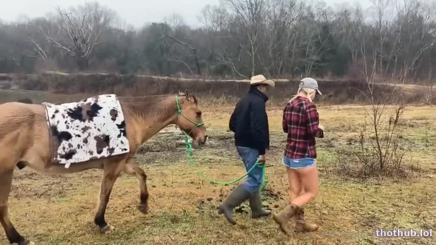 Watch Southernbullryder - save a horse ride the cowboy Porn Video - ePornSup.