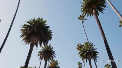 LS - Alexa - Yoga