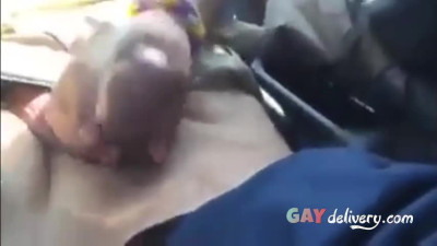 Gay Car Blowjob Amateur Video